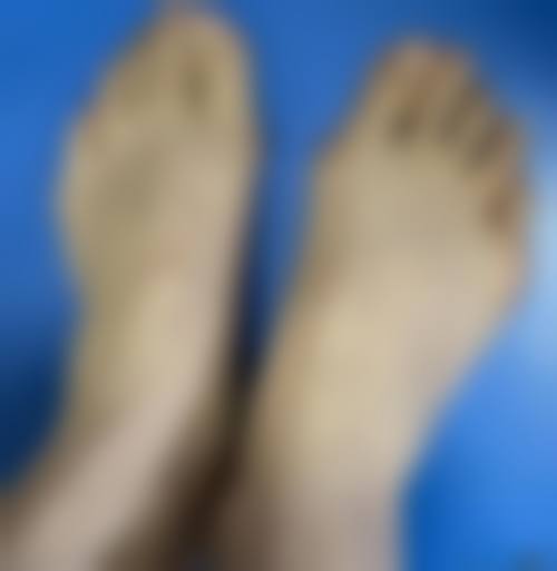 资质认证与团队实力解析