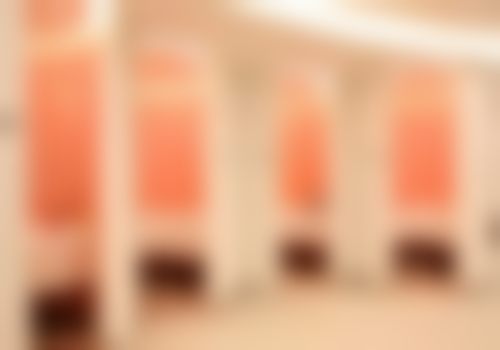 擅长项目详解：文盛湖医生的核心技术