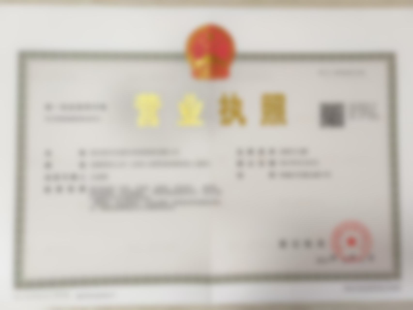 依托专精实力,打造安心变得更美体验