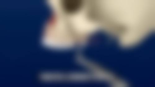 总结与预约号召