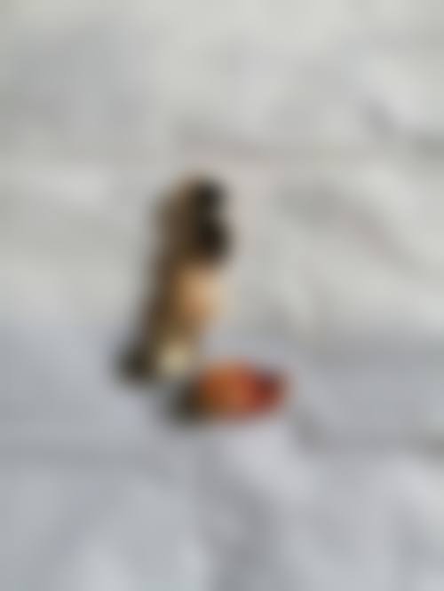 交通指南与预约方式总结