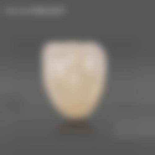 核心优势与特色项目详解