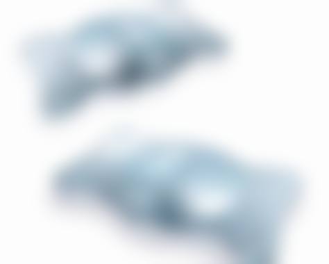 核心项目与价格优势分析