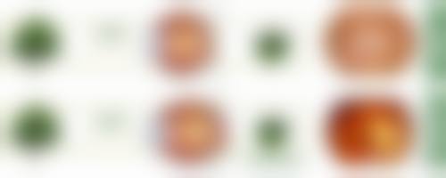 九大诊疗中 心与核心项目优势