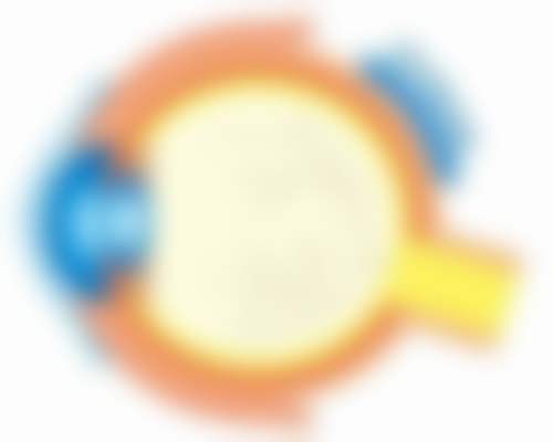 医院资质与实力解析