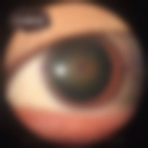 诊疗特色总结