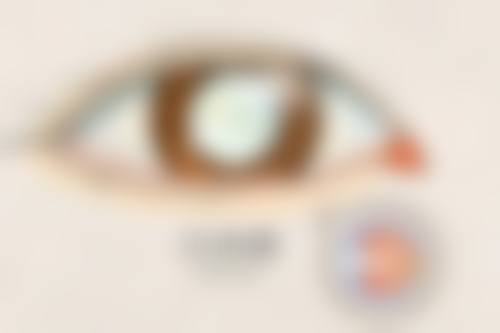 预约优惠活动
