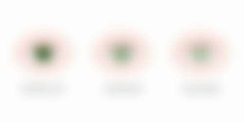 预约优惠活动:便捷通道与费用说明
