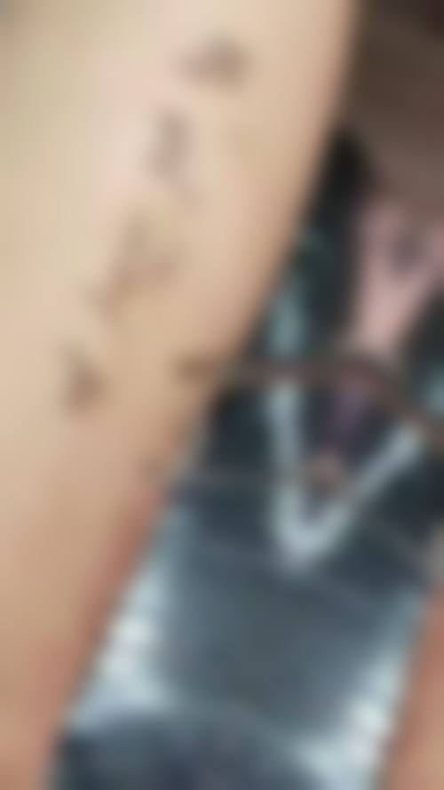 常见问题解答