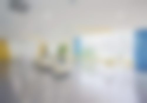 擅长项目详解