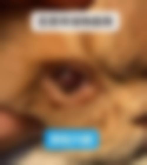 诊疗特色总结