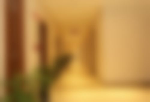 擅长项目