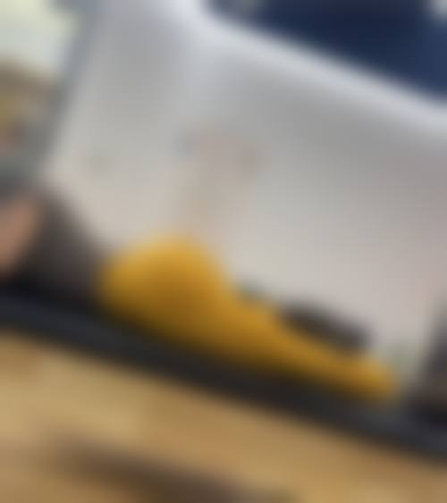 总结与预约服务指引