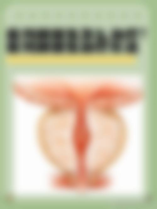 个性化服务流程