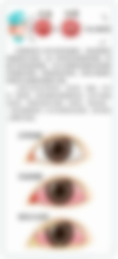 擅长项目详解