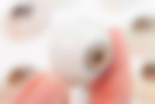 价格透明与优惠详情