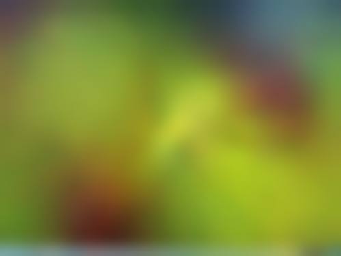 常见问题解答(FAQ)