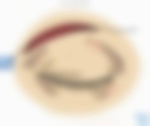 医生资质介绍