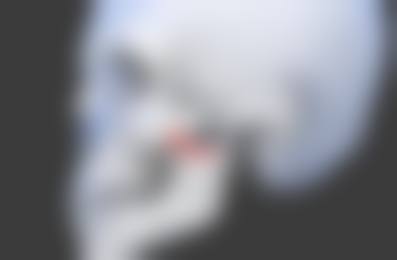 擅长项目详解
