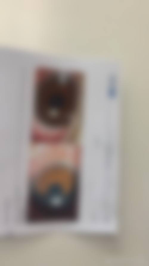 高端设备配置与环境服务