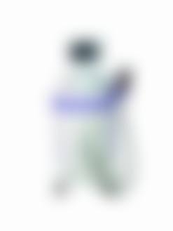 擅长项目详解
