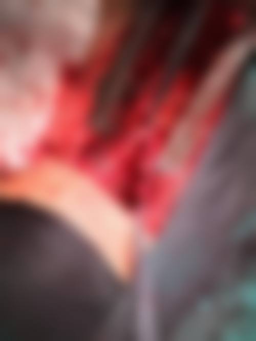 擅长项目详解:李善熙的专精技术领域